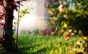 a sprinkler system designed and installed by our West Palm Beach irrigation repair contractors